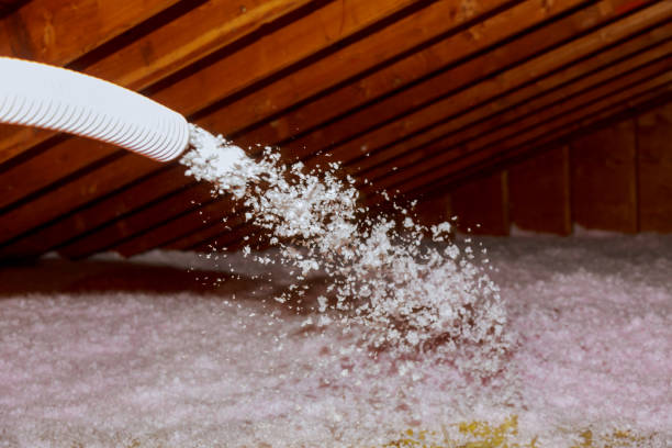 Best Insulation Contractors for Homes  in Rutherfordton, NC