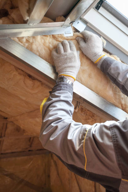 Best Insulation Replacement Services  in Rutherfordton, NC