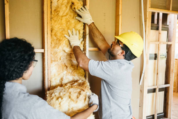 Best Cellulose Insulation  in Rutherfordton, NC